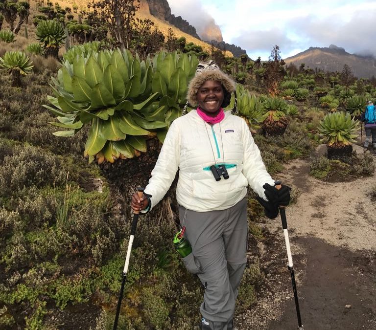Hiking woman with two hiking poles posing in front of giant groundsels while on the trail hiking up the slopes of Mt Kenya