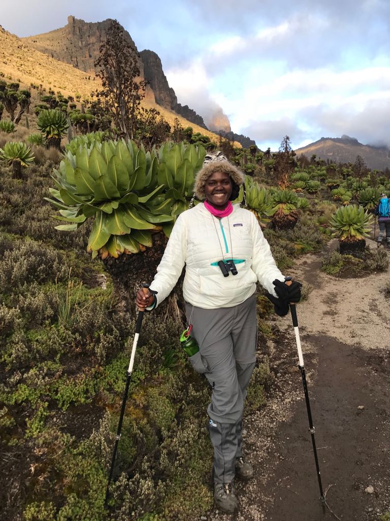 Hiking woman with two hiking poles posing in front of giant groundsels while on the trail hiking up the slopes of Mt Kenya